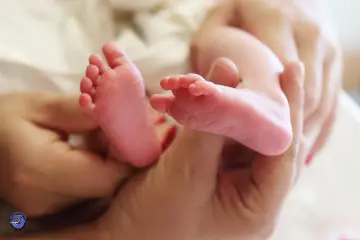 How to Calculate Crude Birth Rate A Step-by-Step Guide