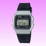 Casio F91W Series